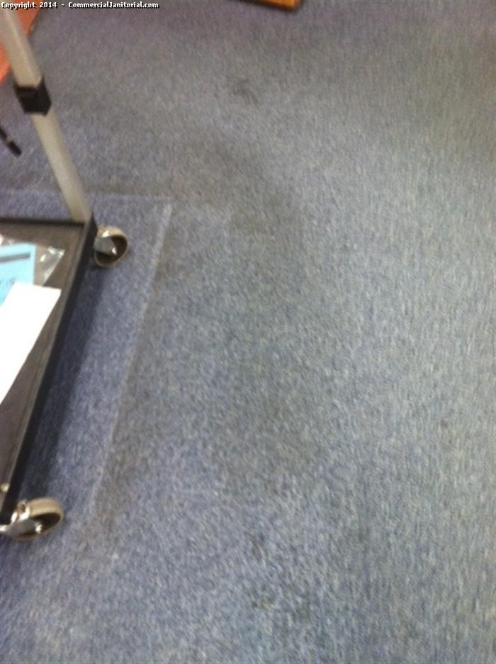 This picture is taken before cleaning the carpet. Although there is an industrial cleaning process that is in fact steam cleaning, in the context of carpet cleaning, "steam cleaning" is usually a misnomer for or mischaracterization of the hot water extraction cleaning method. We use this method to clean this carpet.