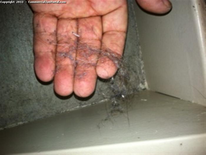 One of our crew found a  hair dust while cleaning one of our client.