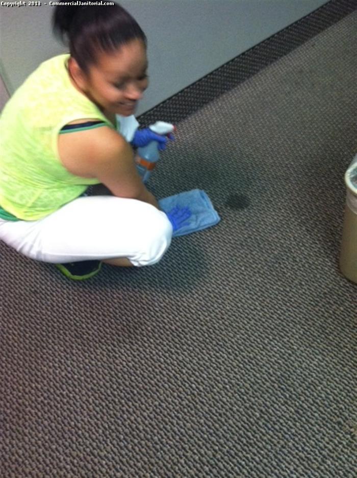 Carpets are the most popular and convenient way of covering your floors. Our carpet cleaning professionals will ensure that your carpets are germ free  and your home feels clean and refreshed. One of our crew uses her hand to scrub the dirt. Call us to get schedule.