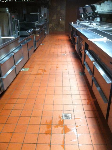 Kitchen floors were desk brushed and drains were cleaned out. all surfaces of the hot line were polished everything looking good 