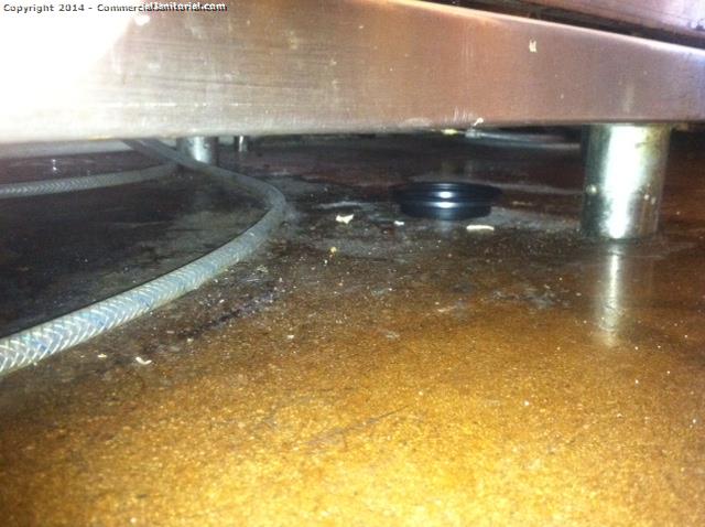 A good cleaning inspection in a restaurant has us looking under the kitchen appliances. This is a good janitorial inspection 
