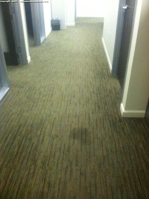 8-14-14

Our crew noticed this pet urine stain on carpet hallway.
We will get this stain out tonight with our regular janitorial service.

Tom T.
