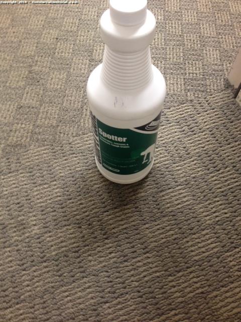 This is the chemical that was used to remove the carpet spots 