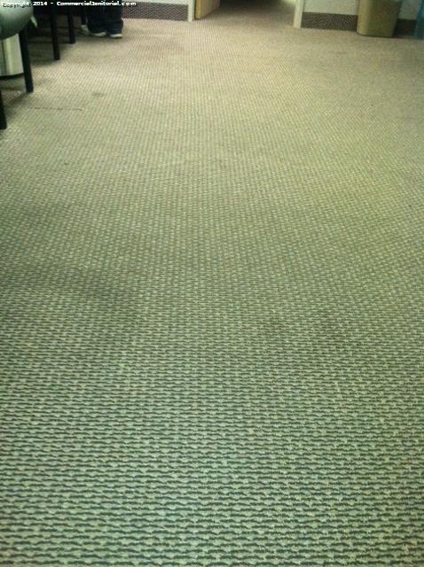 All carpets were vacuumed , and meet clients expectations . 