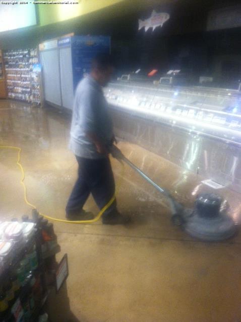 Cleaning a grocery store nightly