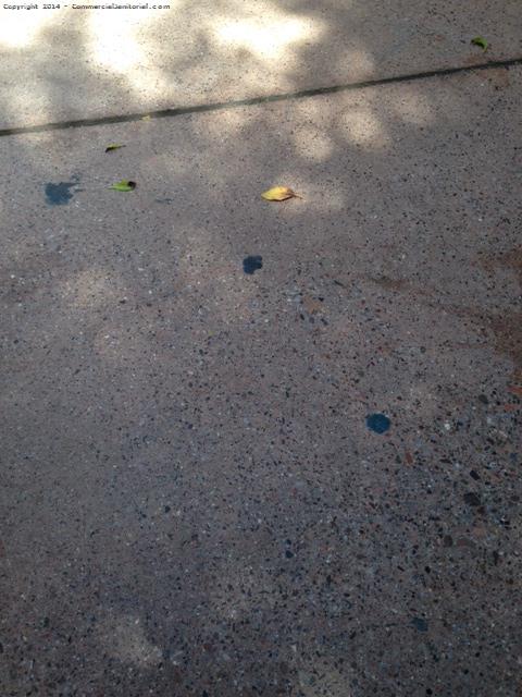 

Geronimo, overall this place looks awesome. Thank you. Here are the things we found.

1. Some gum on patio floor. See photo.
