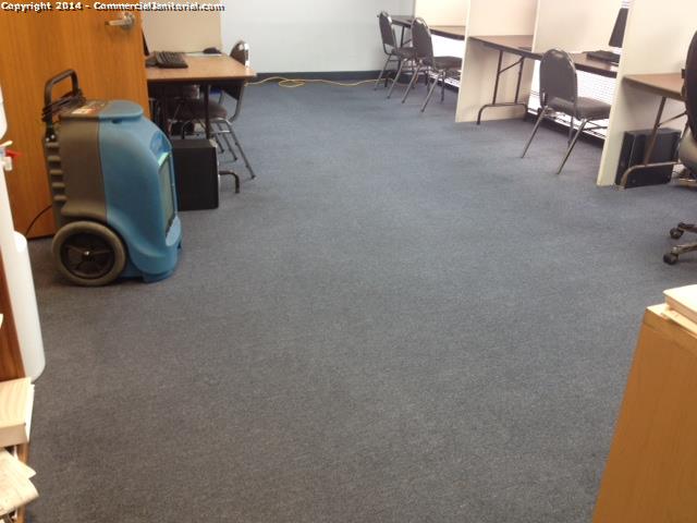 Carpet had an extraction done, everything came out great ; workers resolve the problem client was having .